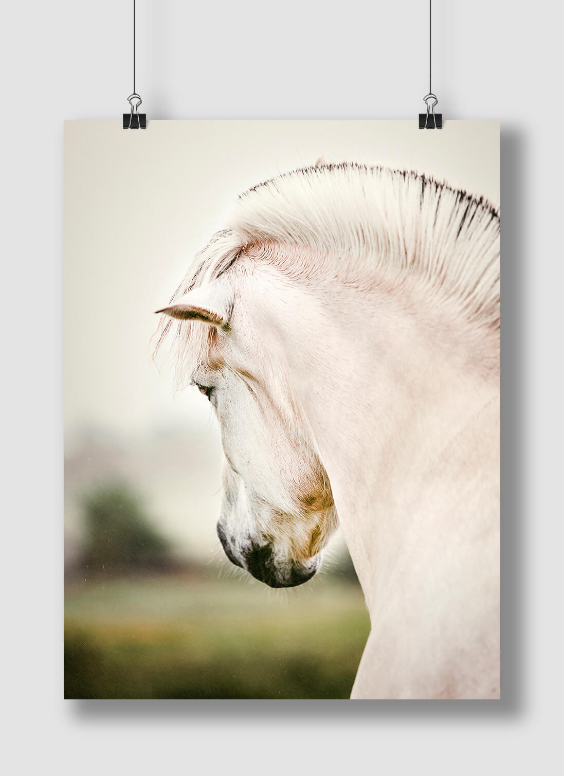 Raindrops - Plakat